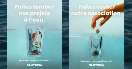 Social media réseaux sociaux Blutopia